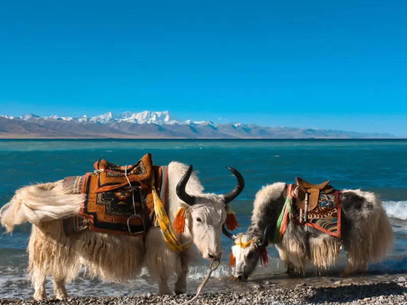 Namtso Lake-The Heavenly Lake of Tibet Namtso Lake-The Heavenly Lake of Tibet