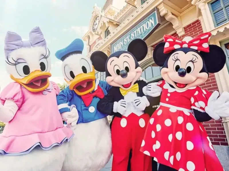 A Magical Kingdom Where Dreams Come True